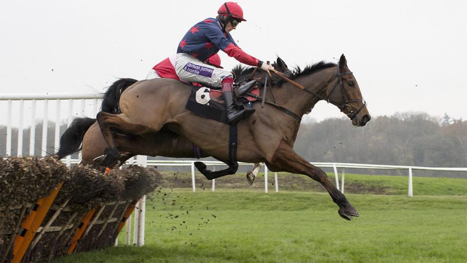 Paul Nicholls-traided Old Guard